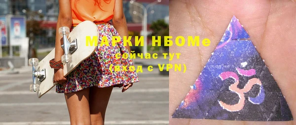 ешки Гусев