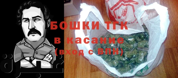 ПСИЛОЦИБИНОВЫЕ ГРИБЫ Гусиноозёрск