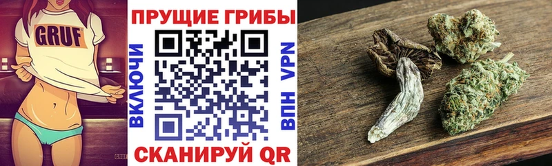 Псилоцибиновые грибы Cubensis  blacksprut зеркало  Алатырь 